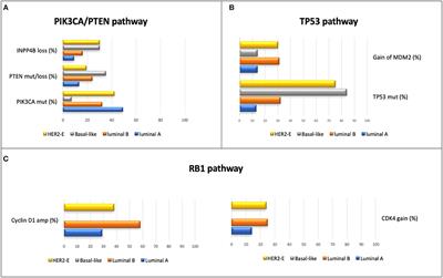 Deciphering HER2 Breast Cancer Disease: Biological and Clinical Implications